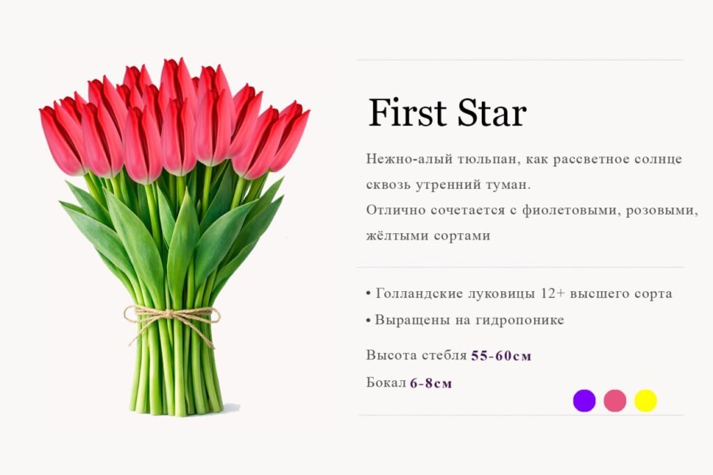 Firststar